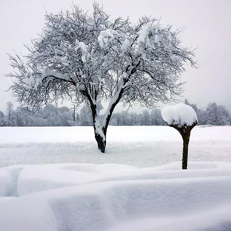 Apartment Ferienwohnung Romantik Im Roten Haus Füssen