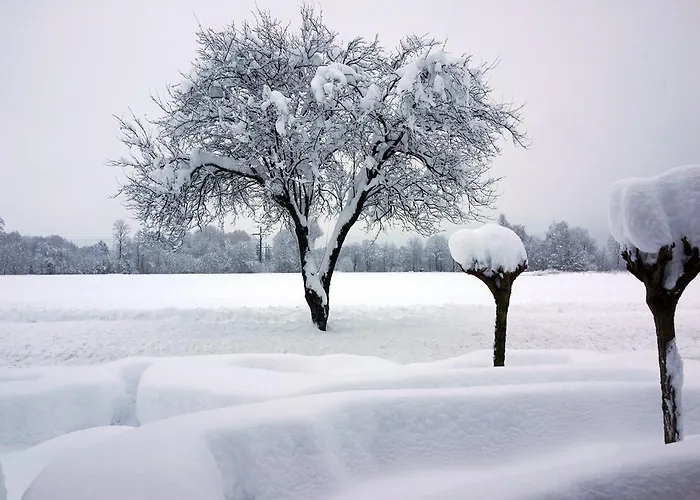 公寓 Ferienwohnung Romantik Im Roten Haus 福森