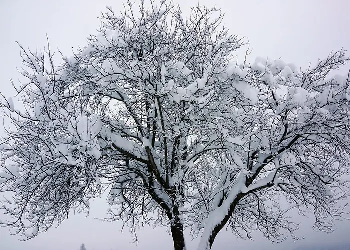 公寓 Ferienwohnung Romantik Im Roten Haus